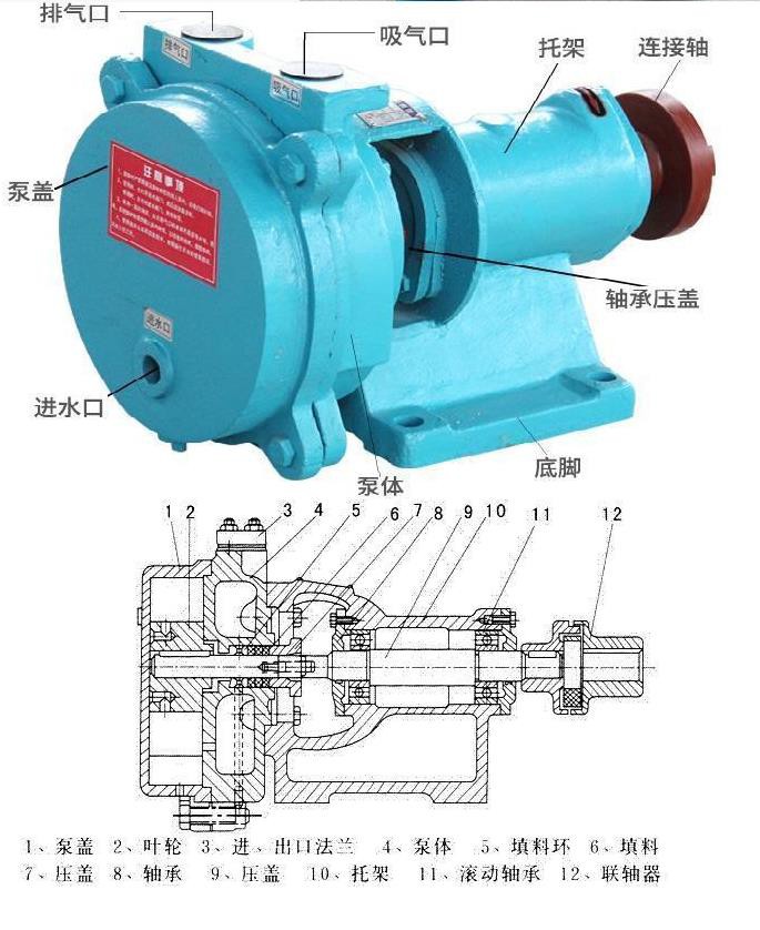 体育app官网入口