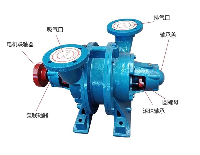 体育app官网入口