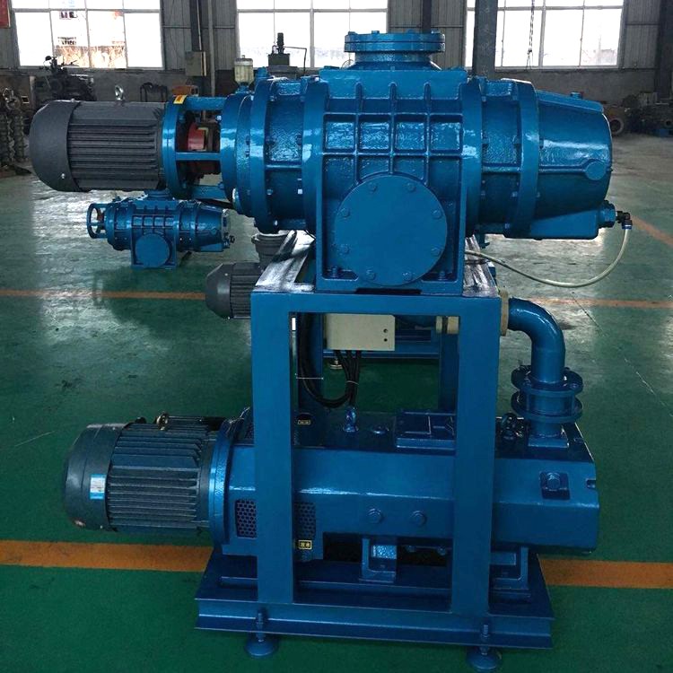 体育app官网入口