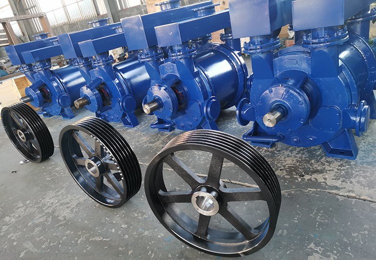 体育app官网入口